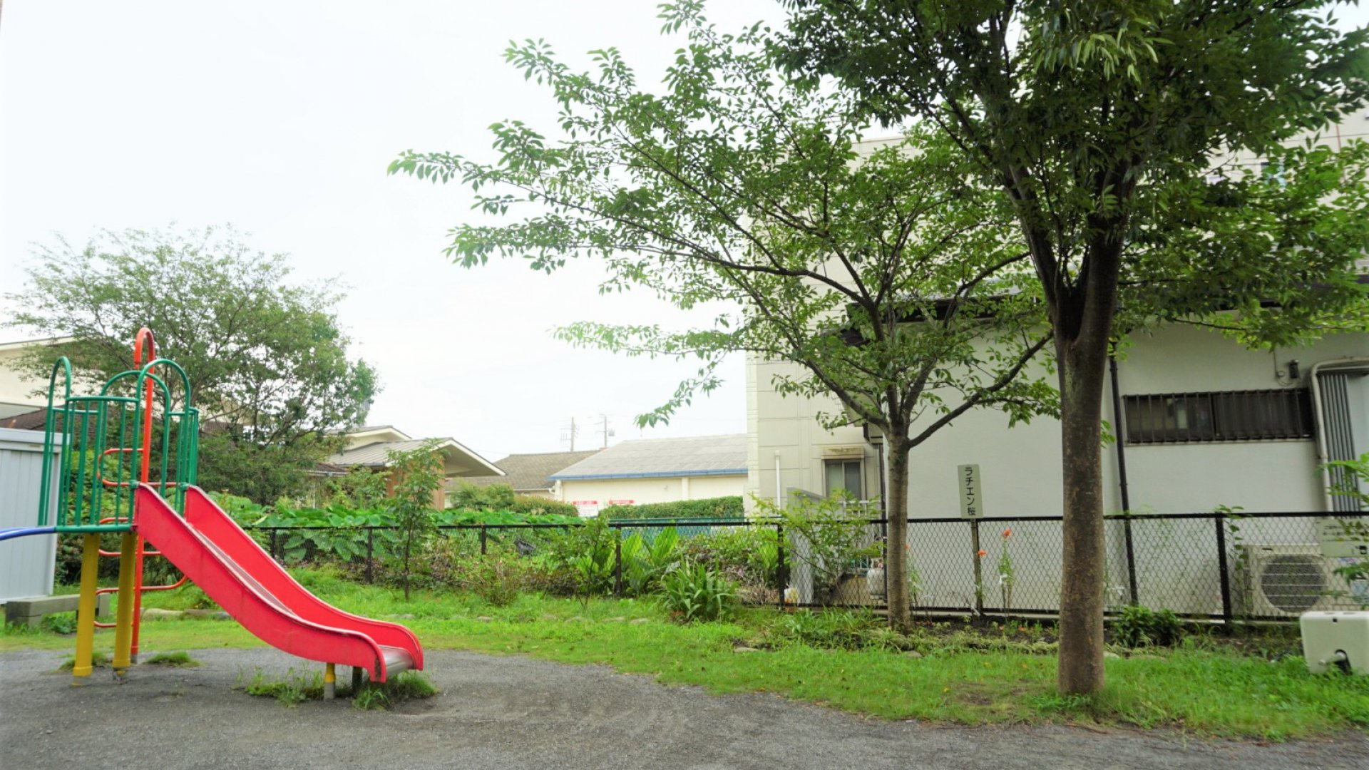 🌸 마츠가오카 공원(마츠가오카 코엔) 이미지 18